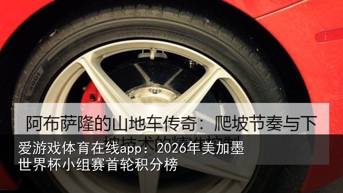 爱游戏体育在线app：2026年美相关情况首轮积分榜