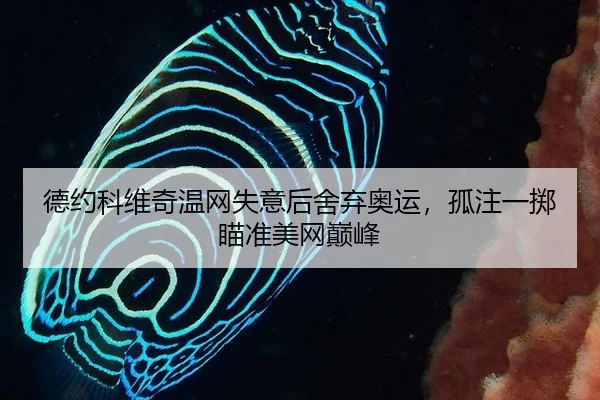 de-yue-ke-wei-qi-wen-wang-shi-yi-hou-she-qi-ao-yun-gu-zhu-yi-zhi-miao-zhun-mei-wang-dian-feng-3-578.jpg